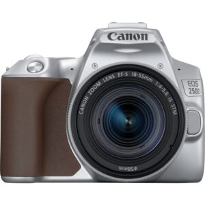 Canon EOS 250D Camera, Silver + EF-S 18-55mm f/4-5.6 IS STM Lens