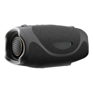Hisense Flexboom Portable Speaker